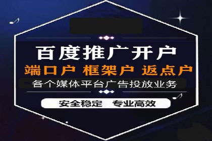 案例研究：SEM开户助力电商快速崛起